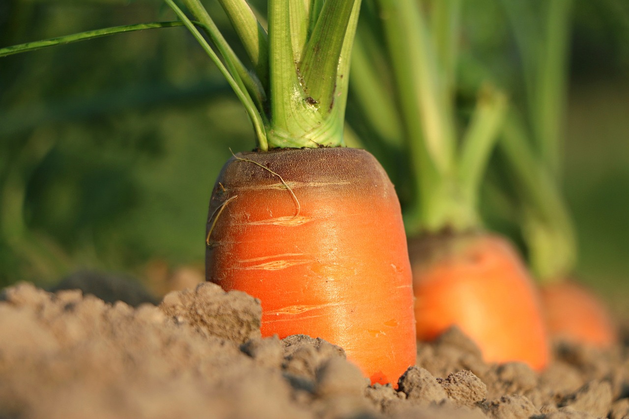 Agricultural Packaging